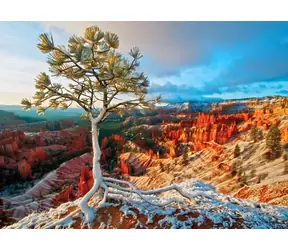 EUROGRAPHICS Puzzle Winterdämmerung, Bryce Canyon / 1000 Teile / 67,63 × 48,89 cm