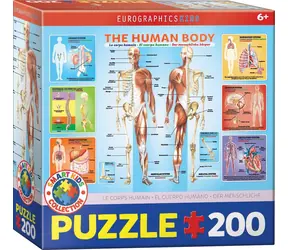 EUROGRAPHICS Puzzle Menschlicher Körper / 200 Teile / 48,3 x 33 cm