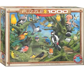 EUROGRAPHICS Puzzle Vögel im Garten / 1000 Teile / 67,63 × 48,89 cm