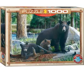 EUROGRAPHICS Puzzle Neue Entdeckungen / 1000 Teile / 68 × 48 cm