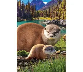 EUROGRAPHICS Puzzle „Rettet unseren Planet“: Otter XL / 250 Teile / extra große Teile / 33 x 48 cm