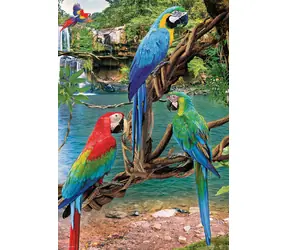 EUROGRAPHICS Puzzle „Rettet unseren Planet“: Aras XL / 250 Teile / extra große Teile / 33 x 48,3 cm