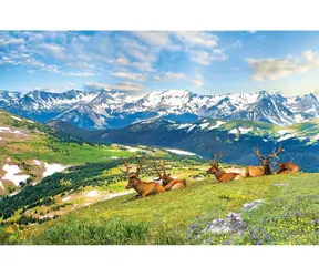 EUROGRAPHICS Puzzle „Hirsche in den Bergen“ / 1000 Teile / 68 x 48 cm