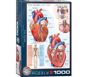 EUROGRAPHICS Puzzle Herz / 1000 Teile / 48,9 × 67,6 cm
