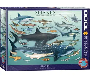 EUROGRAPHICS Puzzle Haie / 1000 Teile / 67,6 x 48,9 cm