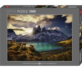 HEYE Puzzle Lamas Guanako / 1000 Teile / 70 x 50 cm