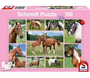 Schmidt Puzzle Schöne Pferde / 150 Teile / 43,2 × 29,1 cm
