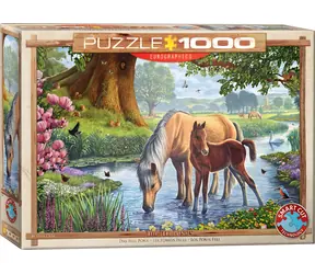 EUROGRAPHICS Puzzle Fellponys / 1000 Teile / 67,63 x 48,89 cm