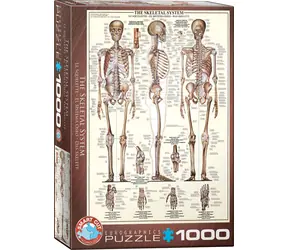 EUROGRAPHICS Puzzle Skelettsystem / 1000 Teile / 48,9 × 67,6 cm