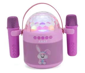 JoyBox Kids Karaoke-Set für Kinder / Karaoke-Set