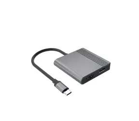 USB-C auf HDMI + DisplayPort grau / Adapter / 4K 60Hz / 0,18 m