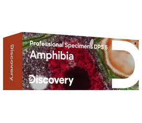 Discovery Prof Specimens DPS 5 / Set mit fertigen Präparaten / Amphibien