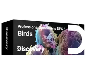 Discovery Prof Specimens DPS 5 / Set fertiger Präparate / Vögel