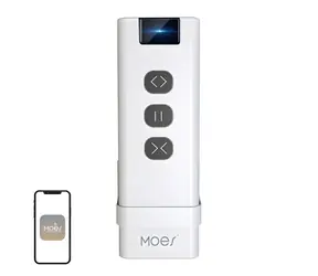 MOES YK2169 / Fernbedienung / 433 MHz / Rolling Code / 12 V