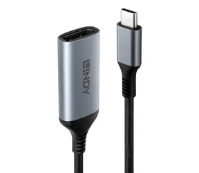 Lindy USB-C auf DisplayPort 8K60 grau-schwarz / Adapter / HDR / 0,15 m