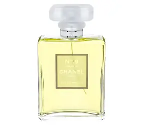 Chanel Nr. 19 Poudre Eau de Parfum 100 ml
