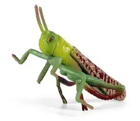 Rappa Figur Heuschrecke / Insekt / 7 cm / Kunststoff
