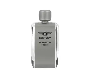 Bentley Momentum Intense Eau de Parfum 100 ml