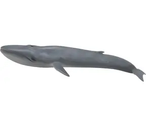 COLLECTA Blauwal-Figur / Wasserwelt