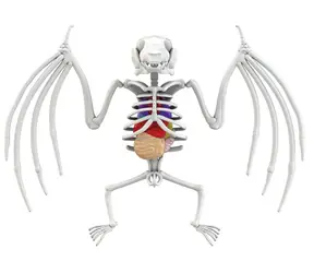 Simba Entdecke Fledermaussektion / lila Schleim / 15 cm