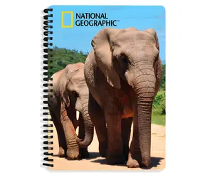 Prime 3D Notizbuch A5 Elefanten / A5 / 3D-Illustration / National geographic