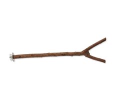 Bird Jewel Holzsitzstange Natur 35 cm