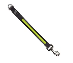 Dog Fantasy USB LED Nylonleine, umschaltbar, leuchtend grün, 2,5x39 cm