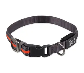 Dog Fantasy USB LED Nylonhalsband, leuchtend ML, orange, 2,5x45-65 cm