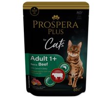 Prospera PLUS Cat Adult 1+ Beutel Rind mit Kürbis 85g