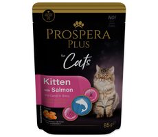 Prospera PLUS Cat Kitten Pouch Lachs und Karotte 85g