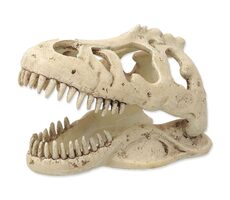 Repti Planet Dekoration T-REX-Schädel 13,3x8,5x9cm