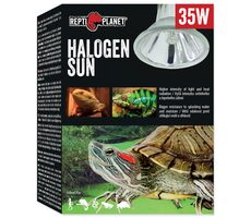 Repti Planet Halogen-Sonnenlampe 35W