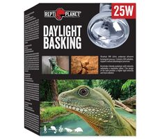 Repti Planet Tageslicht-Sonnenspot-Glühbirne 25 W