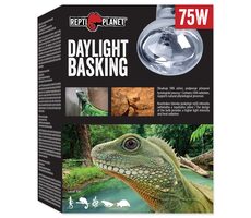 Repti Planet Tageslicht-Sonnenspot, 75 W Glühbirne