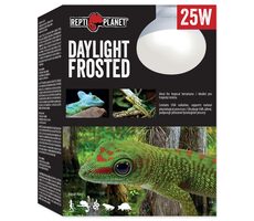 Repti Planet Glühbirne Tageslicht Frosted 25W