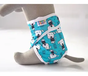 GaGa's Hundehöschen Doggy S