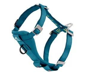 Kurgo Tru-Fit Sicherheitsgeschirr für Hunde mit verstärkter Festigkeit und integriertem Sicherheitsgurt, Blau, Größe S