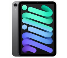 Apple iPad mini 8,3" 7. Generation (2024) WLAN 512 GB grau / 2266 x 1488 / WLAN / 12 MP+12 MP / iPadOS 18