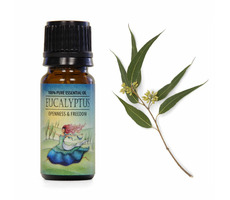Airbi Ätherisches Öl EUKALYPTUS 10 ml