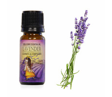 Airbi Ätherisches Öl LAVENDEL 10 ml