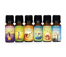Airbi Ätherisches Ölpaket mit 6 verschiedenen Sorten 6x 10 ml