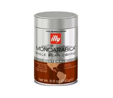 Illy Monoarabica Guatemala 250 g / Kaffeebohnen / 100 % Arabica / Dose