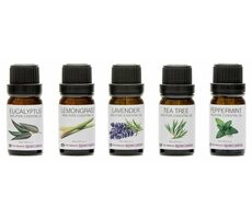 RIO 100 % reine ätherische Ölkollektion / Aromaöle / 5x 10 ml / Eukalyptus / Zitronengras / Minze / Teebaum / Lavendel