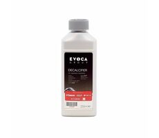 Saeco Evoca Entkalker 250ml