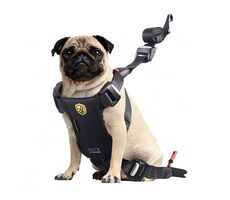 BabyAutoPets TRAVEL FIX System S SCHWARZ