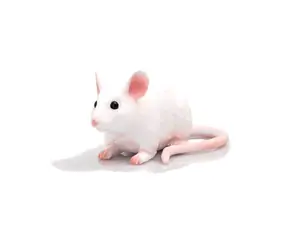 Mojo Animal Planet Mouse / ab 3 Jahren