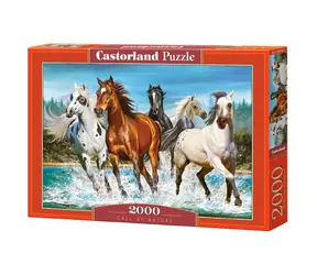 Castorland 200702 Pferde / 2000 Teile / ab 9 Jahren