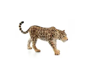 MOJO Leopard Spotted / ab 3 Jahren