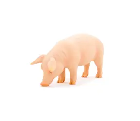 Mojo Animal Planet Pig / ab 3 Jahren