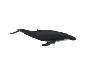 Mojo Animal Planet Buckelwal / ab 3 Jahren